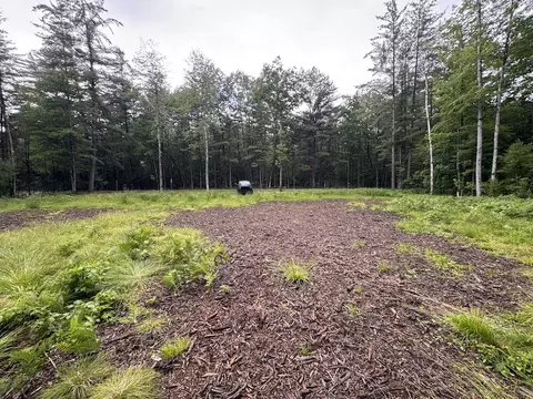 Pinecrest, Gladwin, MI 48624 photo 13