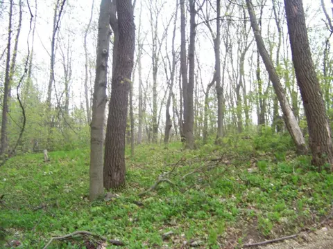 5742 Ontario, Coloma, MI 49038