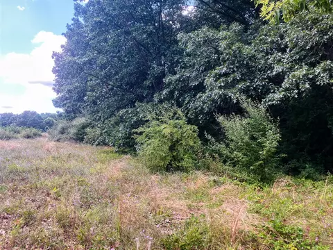 Parcel 9 Leaf Lane, Freeport, MI 49325 photo 3