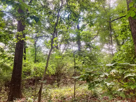 Parcel 9 Leaf Lane, Freeport, MI 49325 photo 7