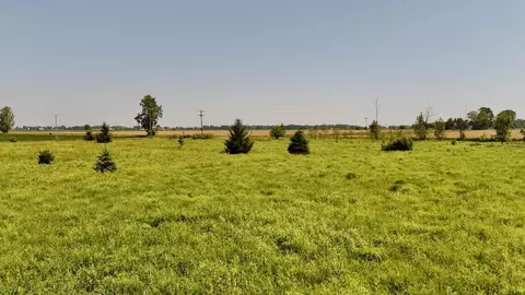 V/l S Santiago, Au Gres, MI 48703 photo 6