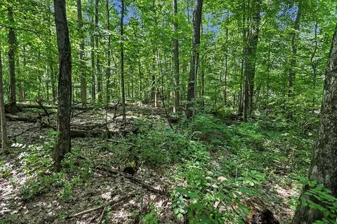 V/L Middle #S 45 & 46, Three Rivers, MI 49093 photo 16