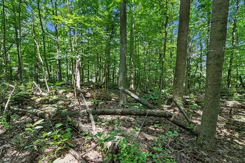 V/L Middle #S 45 & 46, Three Rivers, MI 49093 photo 13