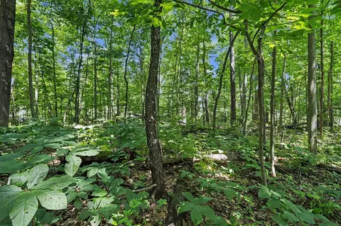 V/L Middle #S 45 & 46, Three Rivers, MI 49093 photo 10