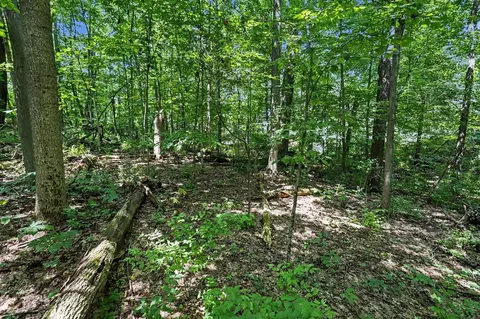 V/L Middle #S 45 & 46, Three Rivers, MI 49093 photo 15