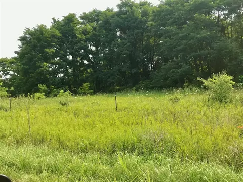 lot H Buckhorn, Three Rivers, MI 49093 photo 3