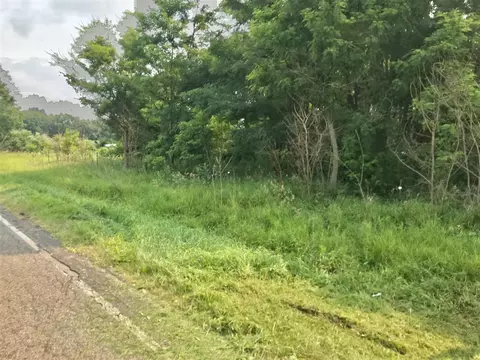 lot H Buckhorn, Three Rivers, MI 49093 photo 5