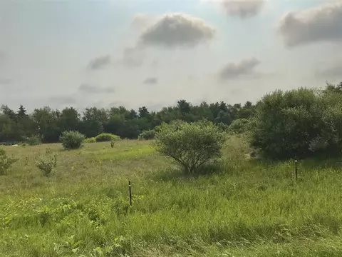 lot H Buckhorn, Three Rivers, MI 49093 photo 2