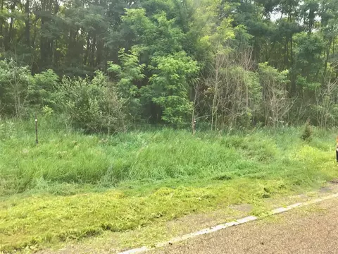 lot H Buckhorn, Three Rivers, MI 49093 photo 4