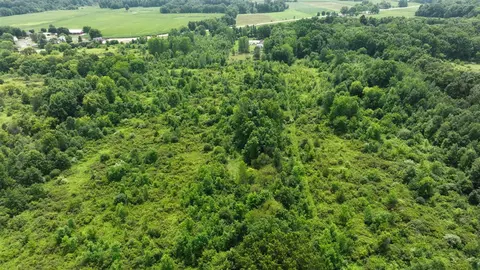 Bunkerhill, Jackson, MI 49201 photo 22