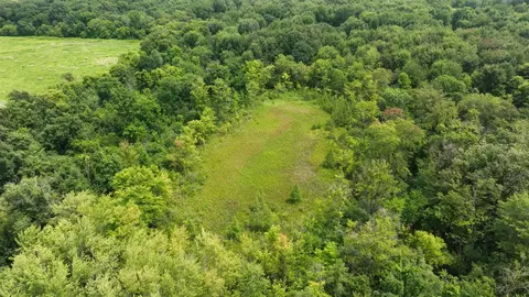 Bunkerhill, Jackson, MI 49201 photo 28