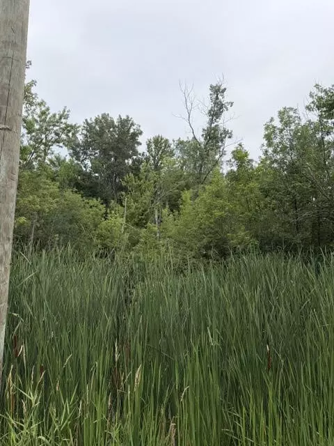 W. Linco Road - Parcel #3-c, Stevensville, MI 49127