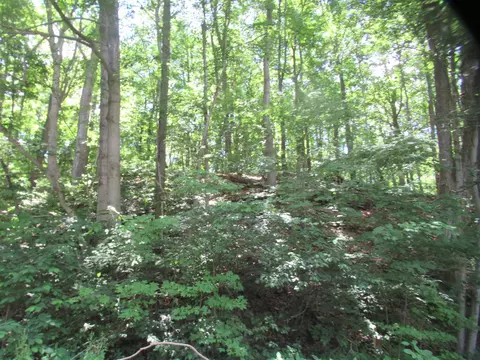 Red Bud, Buchanan, MI 49107 photo 2