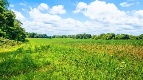 12753 Bliss, Marcellus, MI 49067 photo 35