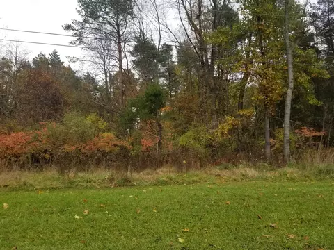 V/l Silverstone, Three Rivers, MI 49093 photo 5