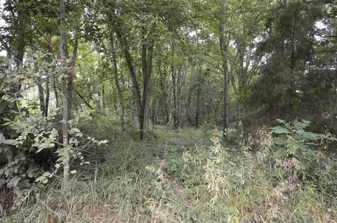 V/l Silverstone, Three Rivers, MI 49093 photo 3