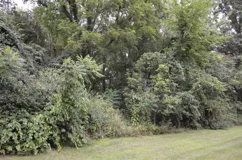 V/l Silverstone, Three Rivers, MI 49093 photo 2