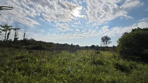 N Q, Marshall, MI 49068 photo 68