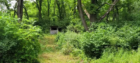 N Q, Marshall, MI 49068 photo 60