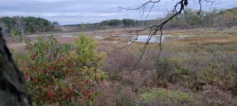 V/l N Q, Marshall, MI 49068 photo 57