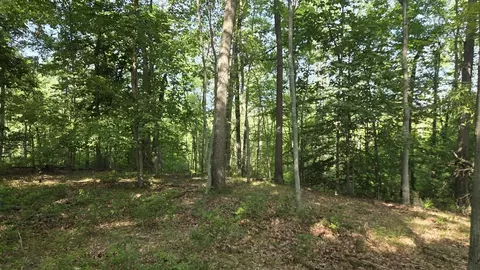 N Q, Marshall, MI 49068 photo 70