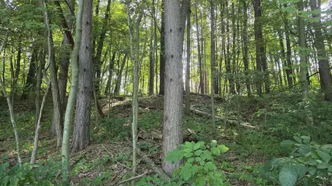 N Q, Marshall, MI 49068 photo 53