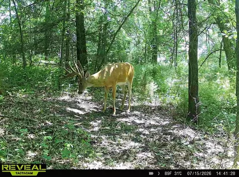 N Q, Marshall, MI 49068 photo 43
