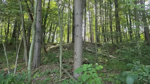 V/l N Q, Marshall, MI 49068 photo 52