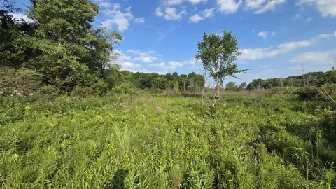 N Q, Marshall, MI 49068 photo 33