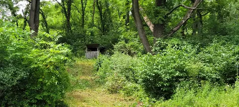 V/l N Q, Marshall, MI 49068 photo 59