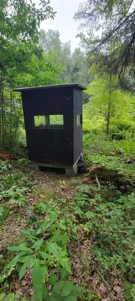N Q, Marshall, MI 49068 photo 61
