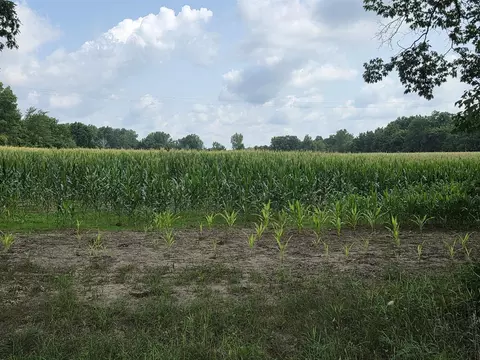 Q Drive South, Burlington, MI 49029