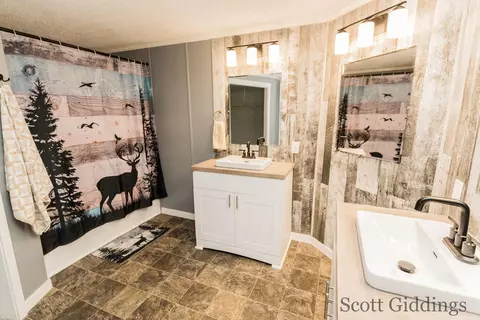 Bath - 318 E Bellevue, Stanton, MI 48888 photo 5 of 7