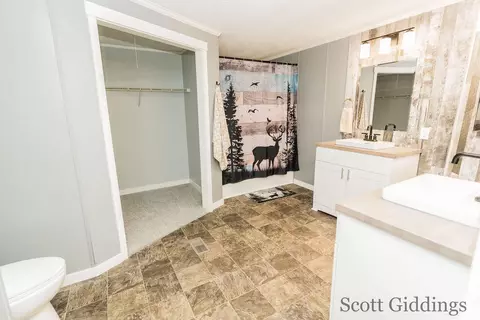 Bath - 318 E Bellevue, Stanton, MI 48888 photo 2 of 7