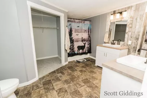 Bath - 318 E Bellevue, Stanton, MI 48888 photo 1 of 7