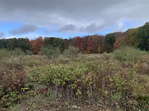 lot1 E Bear Paw, White Cloud, MI 49349 photo 26