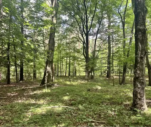 12917 2 Mile, Hersey, MI 49639