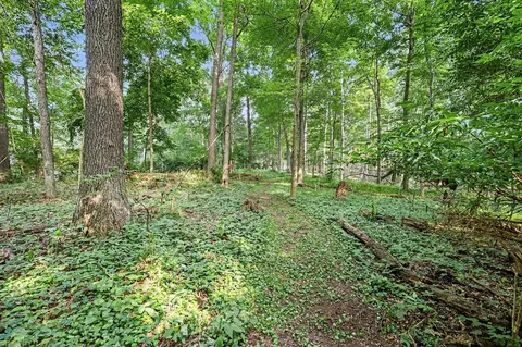 Exterior - 215 Wickenham, Spring Arbor, MI 49283 photo 4 of 4