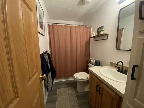 Bath - 1551 E Pine Hl, White Cloud, MI 49349 photo 1 of 4