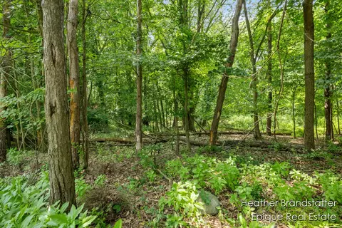 7670 Wood Violet Ct SE, Ada, MI 49301 photo 4
