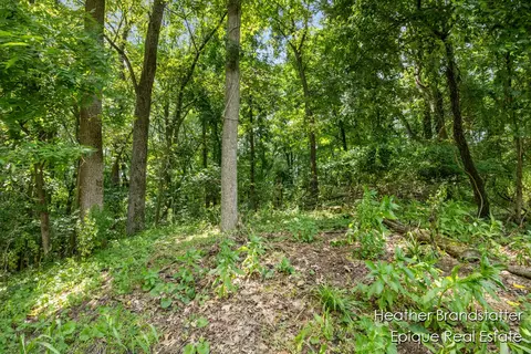 7670 Wood Violet Ct SE, Ada, MI 49301 photo 5