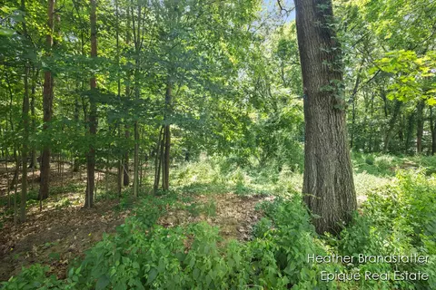 7670 Wood Violet Ct SE, Ada, MI 49301 photo 7