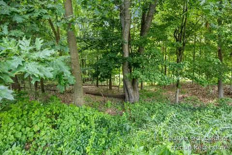7670 Wood Violet Ct SE, Ada, MI 49301 photo 3