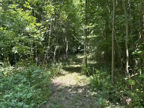 Stuck, Marcellus, MI 49067 photo 11