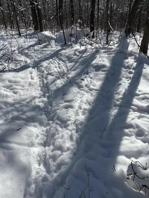 Stuck, Marcellus, MI 49067 photo 27