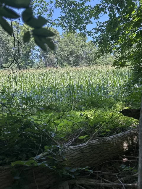 Stuck, Marcellus, MI 49067 photo 17