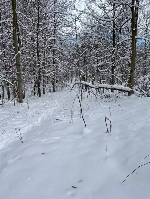 Stuck, Marcellus, MI 49067 photo 25