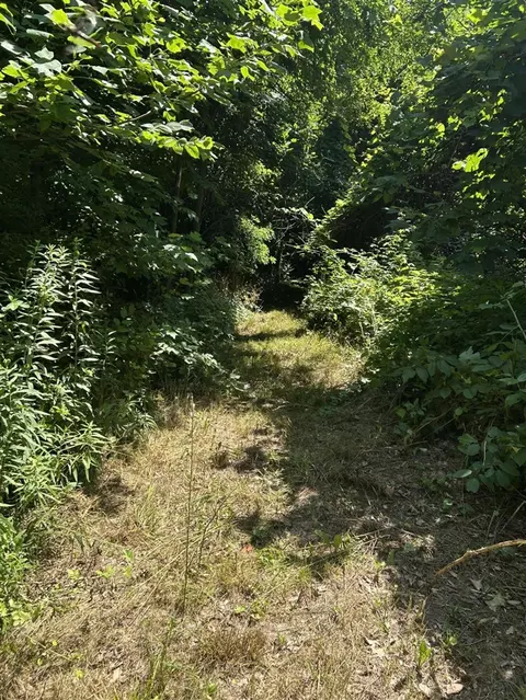 Stuck, Marcellus, MI 49067 photo 21