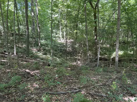 Stuck, Marcellus, MI 49067 photo 12