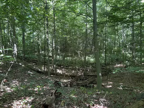 Stuck, Marcellus, MI 49067 photo 24